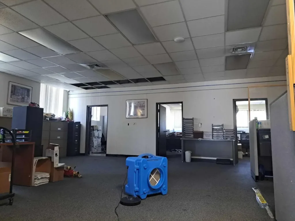 Image #2 from Loving our new blue air scrubbers!